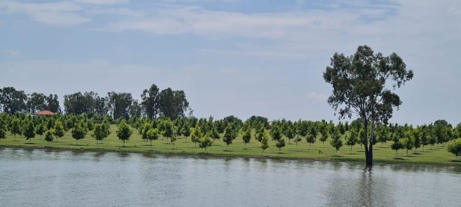 4 Bedroom Property for Sale in Oranjeville Free State